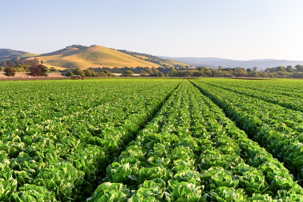 california_agriculture