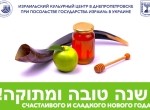 shanatova - mini-dp