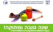 shanatova - mini-dp