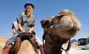 tourist_camel_main