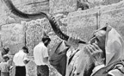 Шофар у Стены Плача в Иерусалиме