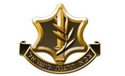 IDF