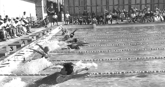 Flickr_-_Government_Press_Office_(GPO)_-_The_100_m_backstroke_competition