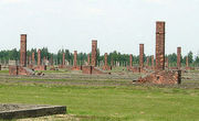 Руины лагеря Аушвиц-Биркенау. Фото: Википедия