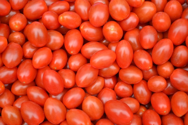 baby-plum-tomatoes